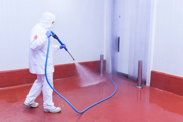 Best Residential Exterior Washing  in Corsicana, TX