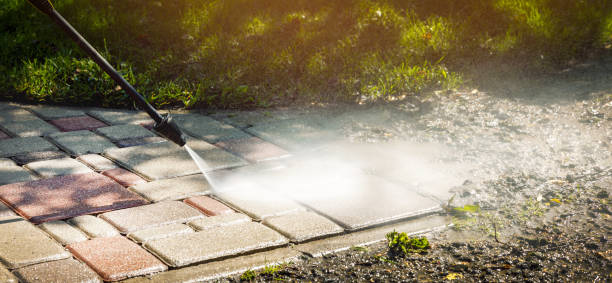 Best Spring Cleaning  in Corsicana, TX